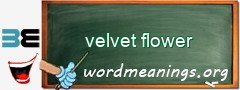 WordMeaning blackboard for velvet flower